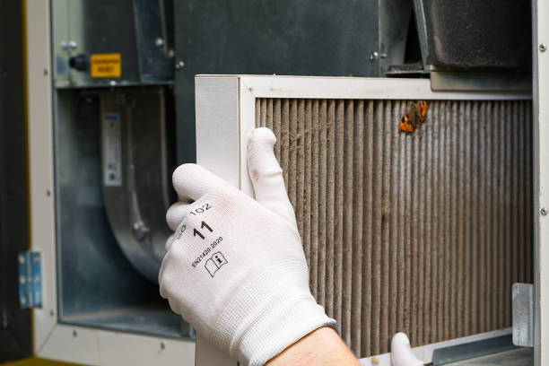 Best Affordable Duct Cleaning Services  in Boulder Hl, IL